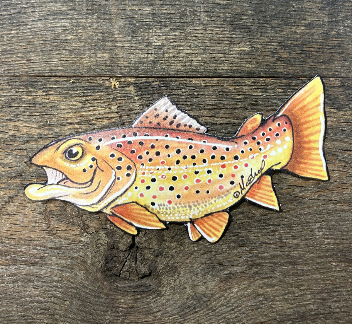 Brown Trout by Scales and Tales Fishing Complete Inc