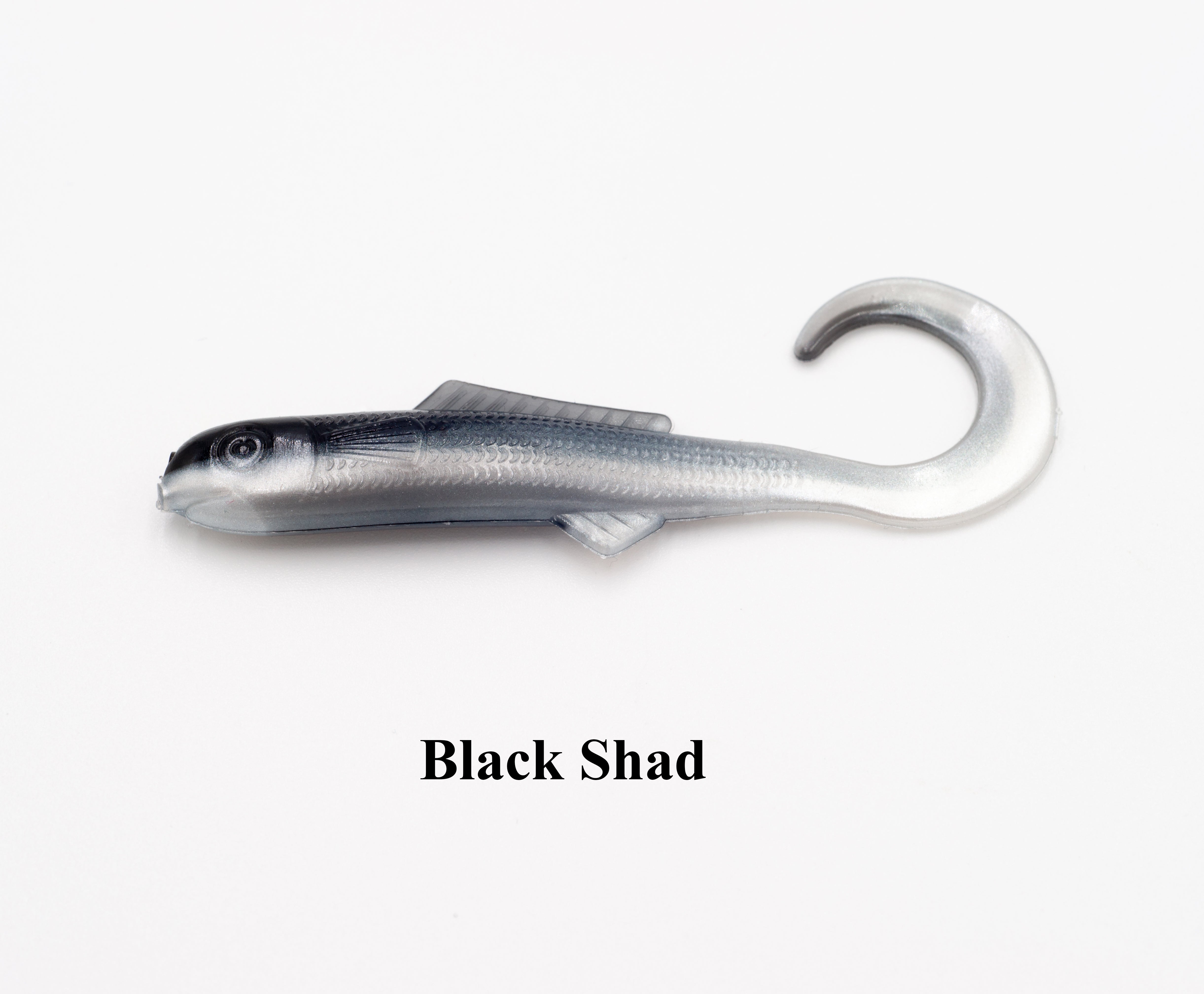 Case Small Curl Tail Minnow – Fishing Complete Inc
