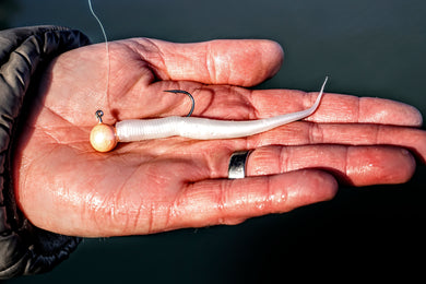 Case Jack's Worm