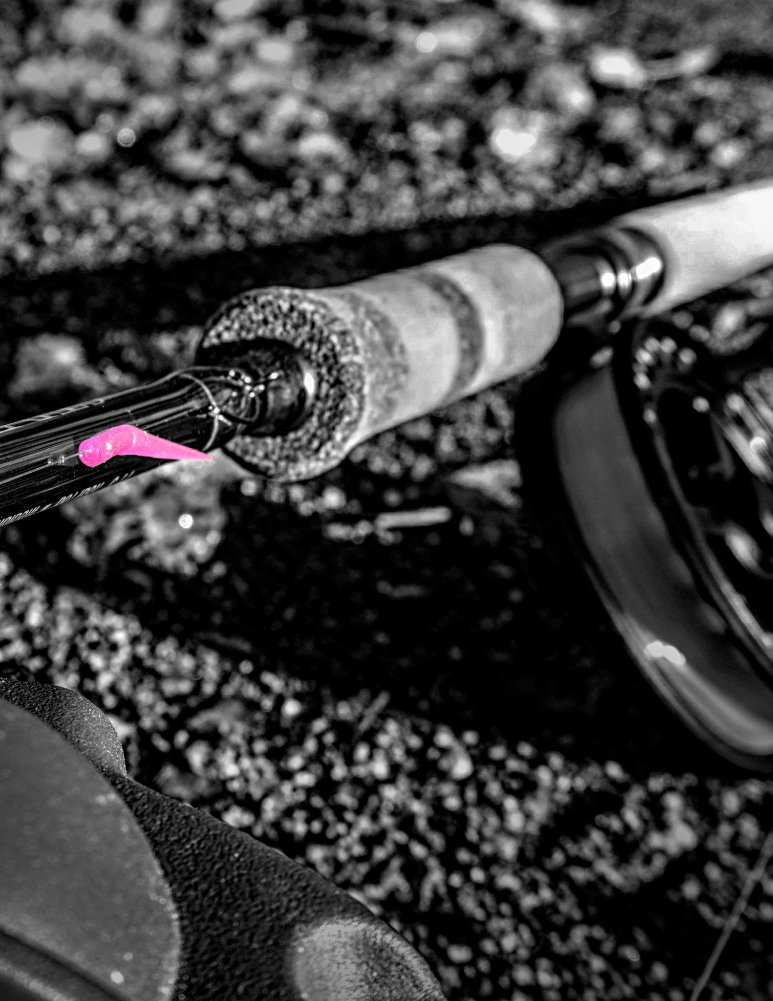 https://fishingcompleteinc.com/cdn/shop/products/Case_Trout_Worms_Hot_Pink3_1024x1024@2x.jpg?v=1564851378